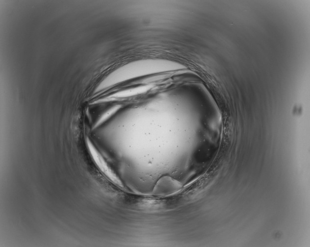 X0000094080319200711091221