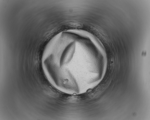 X0000094080320200711091221