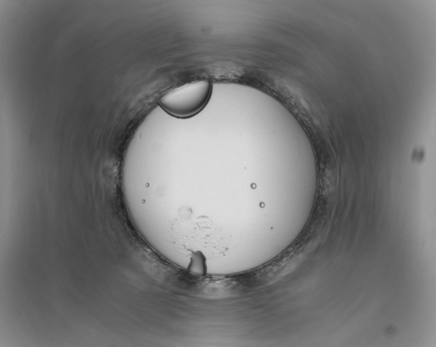 X0000094080321200711091221