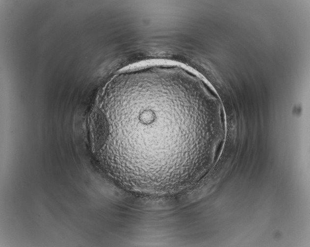 X0000094080322200711091221
