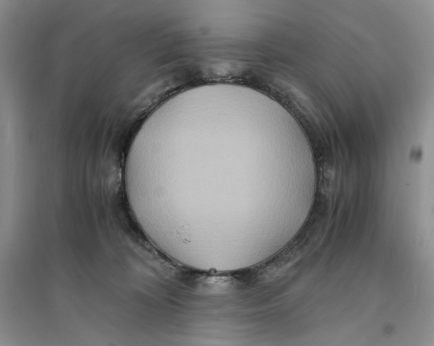 X0000094080324200711091221