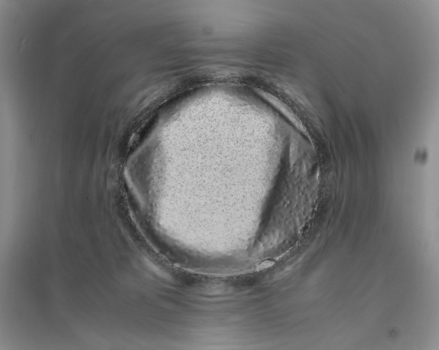 X0000094080325200711091221