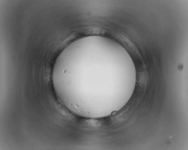 X0000094080326200711091221