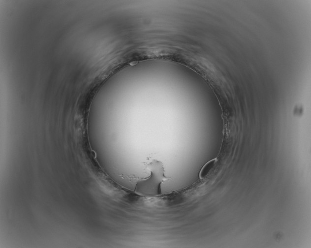 X0000094080327200711091221