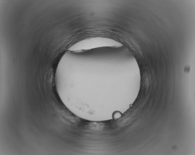 X0000094080328200711091221