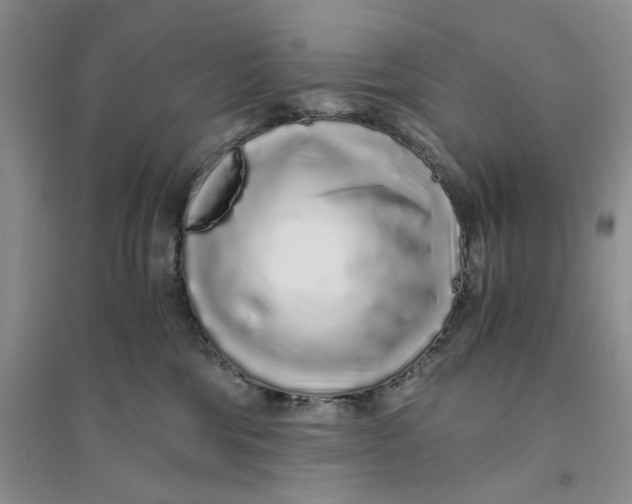 X0000094080330200711091221
