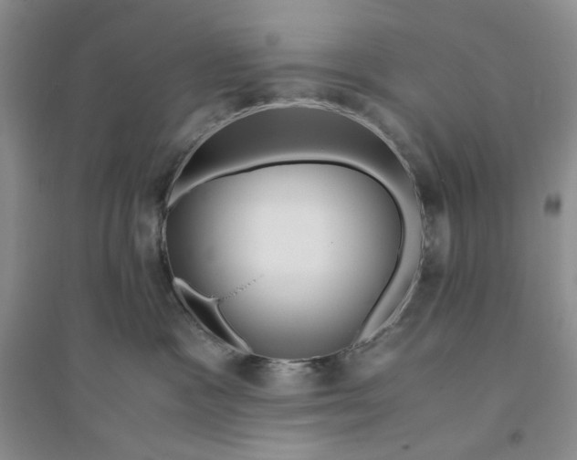 X0000094080333200711091221