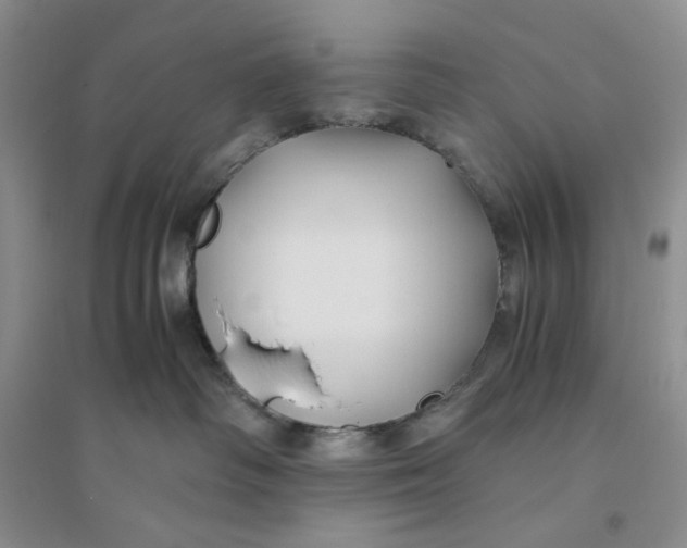 X0000094080334200711091221