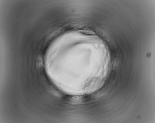 X0000094080335200711091221