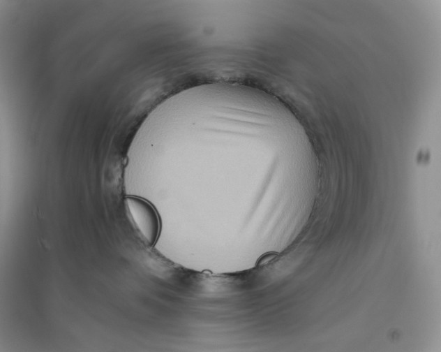 X0000094080336200711091221