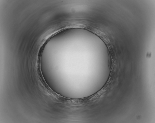 X0000094080338200711091220