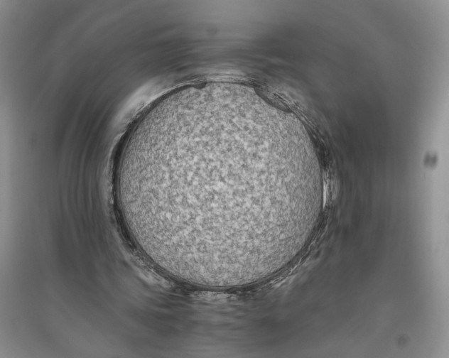 X0000094080339200711091220