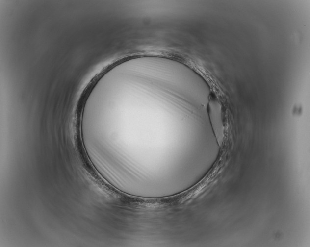 X0000094080342200711091220