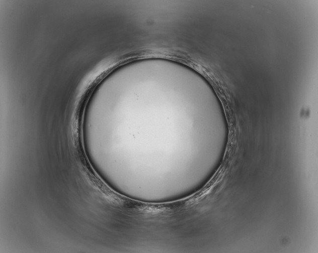X0000094080343200711091220