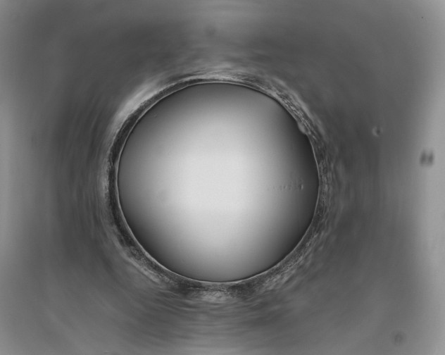 X0000094080344200711091220