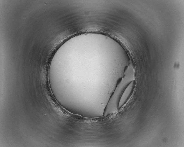 X0000094080345200711091220