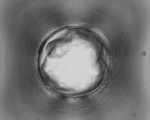 X0000094080346200711091220