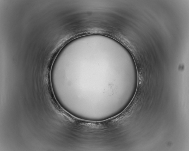 X0000094080347200711091220