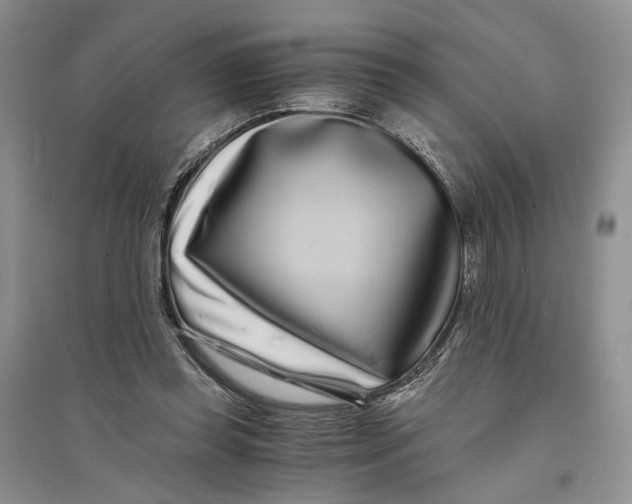 X0000094080349200711091220