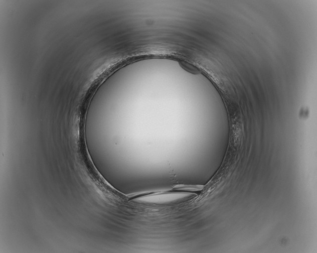 X0000094080350200711091220