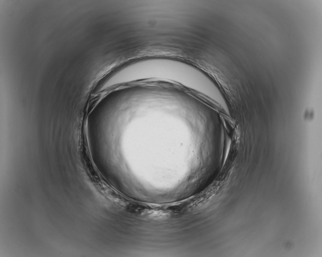 X0000094080352200711091220