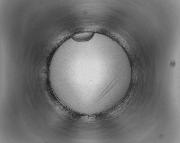 X0000094080354200711091220