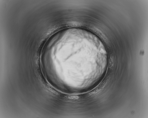 X0000094080355200711091220