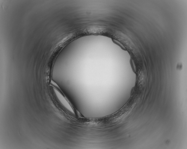 X0000094080356200711091220