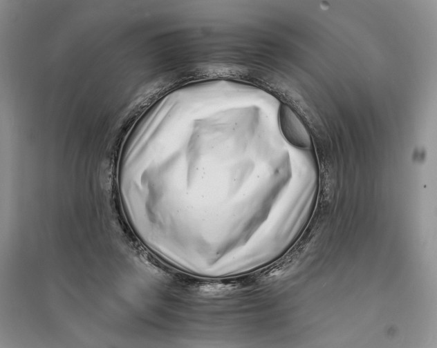 X0000094080357200711091220