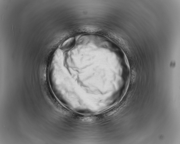 X0000094080358200711091220