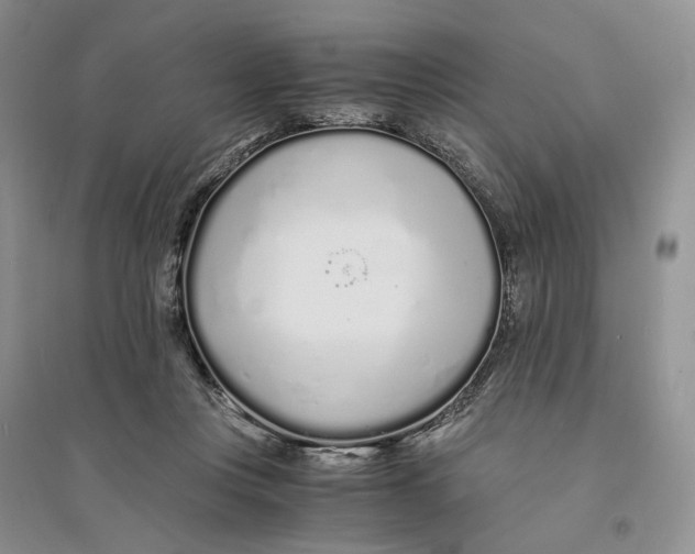 X0000094080359200711091220