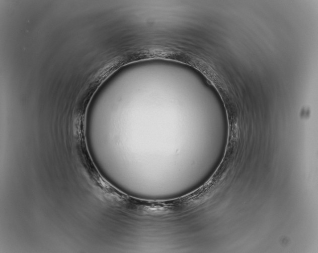 X0000094080360200711091220