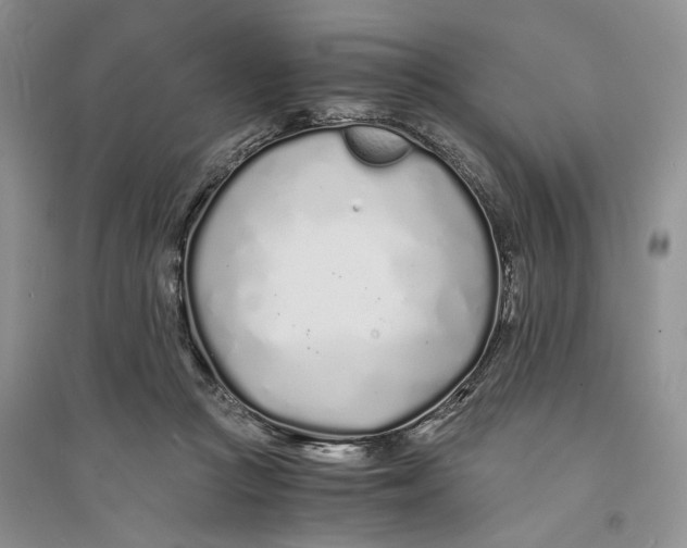X0000094080361200711091220