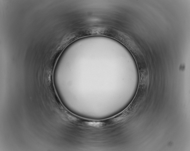 X0000094080363200711091220