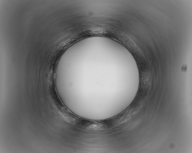 X0000094080364200711091220
