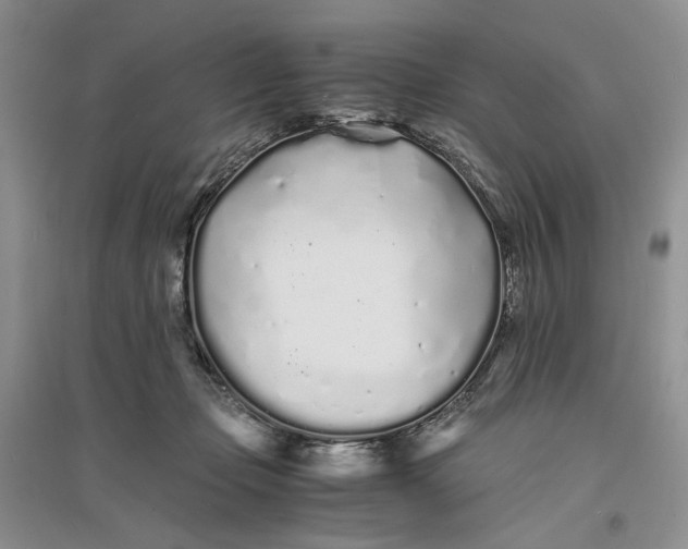 X0000094080365200711091220