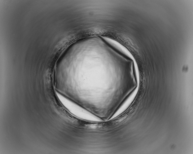 X0000094080366200711091220