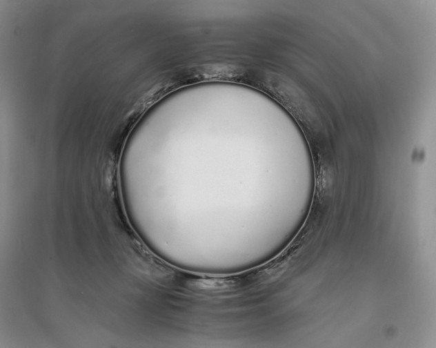 X0000094080367200711091220