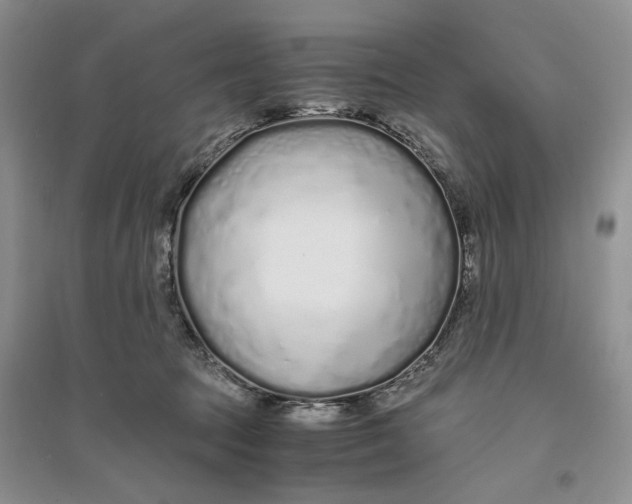 X0000094080369200711091220