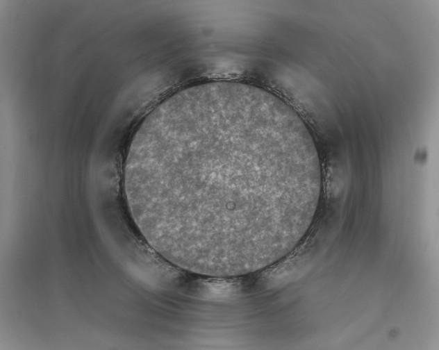 X0000094080370200711091220