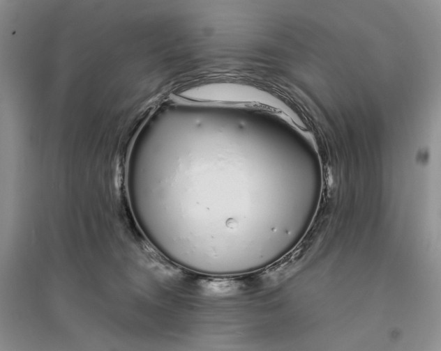 X0000094080372200711091220
