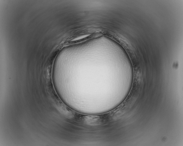 X0000094080373200711091220