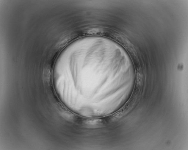 X0000094080375200711091220