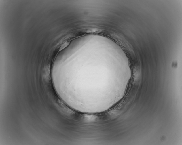 X0000094080376200711091220