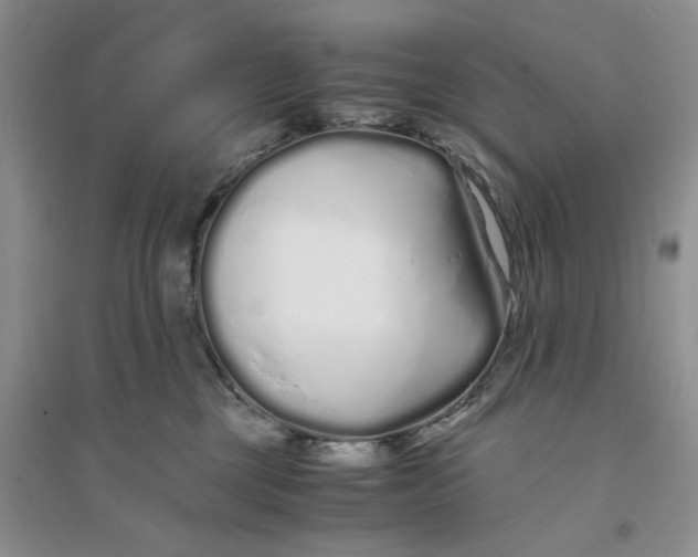 X0000094080377200711091220