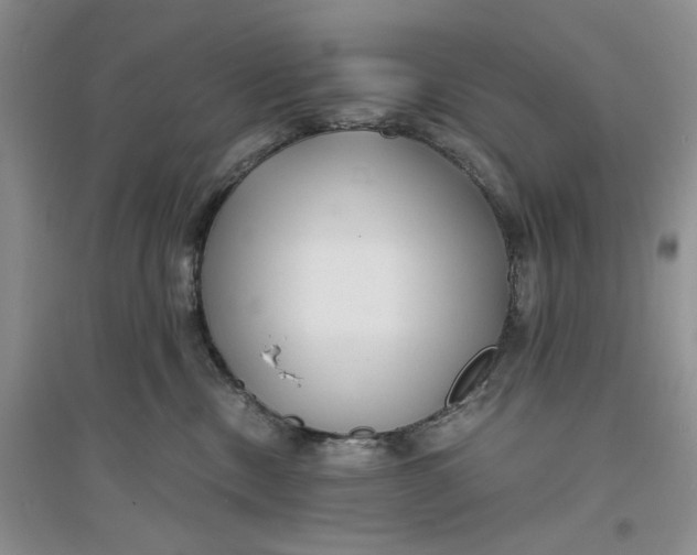 X0000094080378200711091220