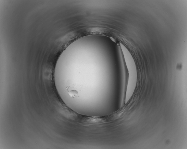 X0000094080379200711091220