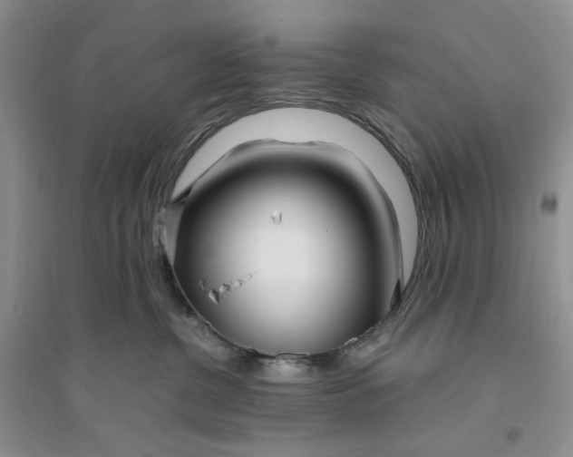 X0000094080380200711091220