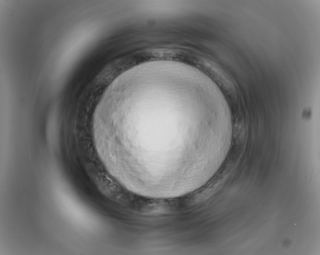 X0000094080381200711091221