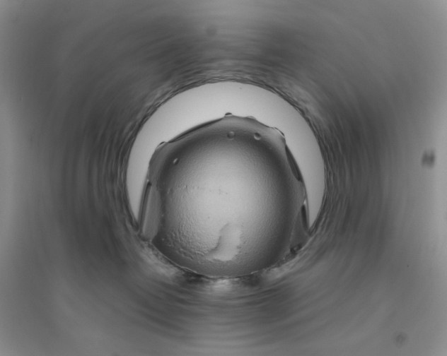 X0000094080382200711091221
